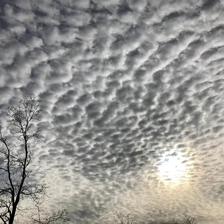 A Casa Di Matisse - Vacanze * Urbino