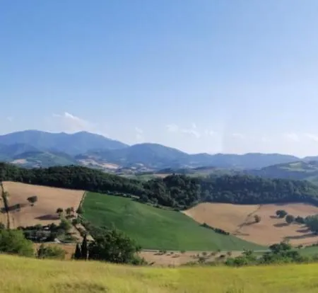 A Casa Di Matisse - Vacanze Apartamento