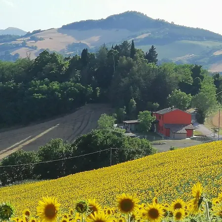 公寓 A Casa Di Matisse - Vacanze 乌尔比诺