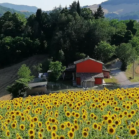 A Casa Di Matisse - Vacanze 公寓