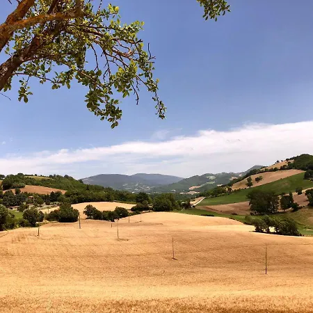 A Casa Di Matisse - Vacanze *