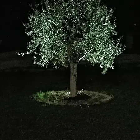 A Casa Di Matisse - Vacanze Apartamento *